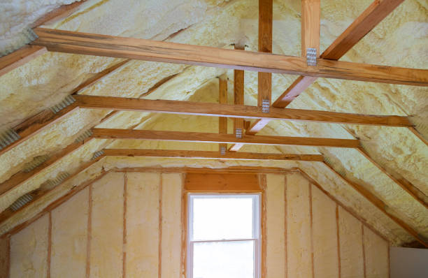 Best Insulation Maintenance and Repair in Giddings, TX